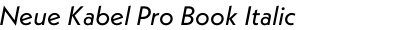 Neue Kabel Pro Book Italic